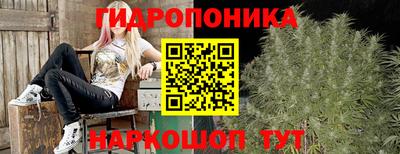 спиды Будённовск