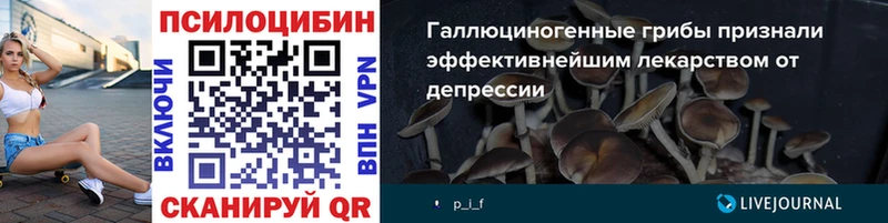 Галлюциногенные грибы Psilocybine cubensis  Канаш 