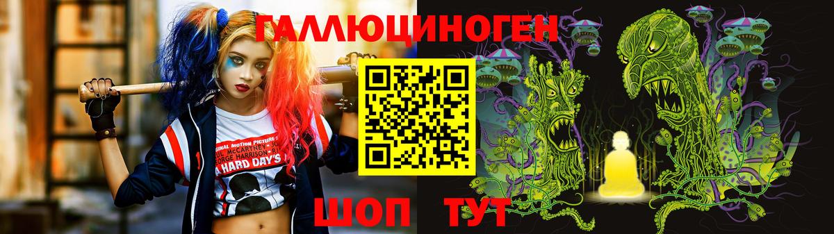 Канаш  Галлюциногенные грибы Psilocybine cubensis  Вход с VPN  Псилоцибиновые грибы Psilocybe 